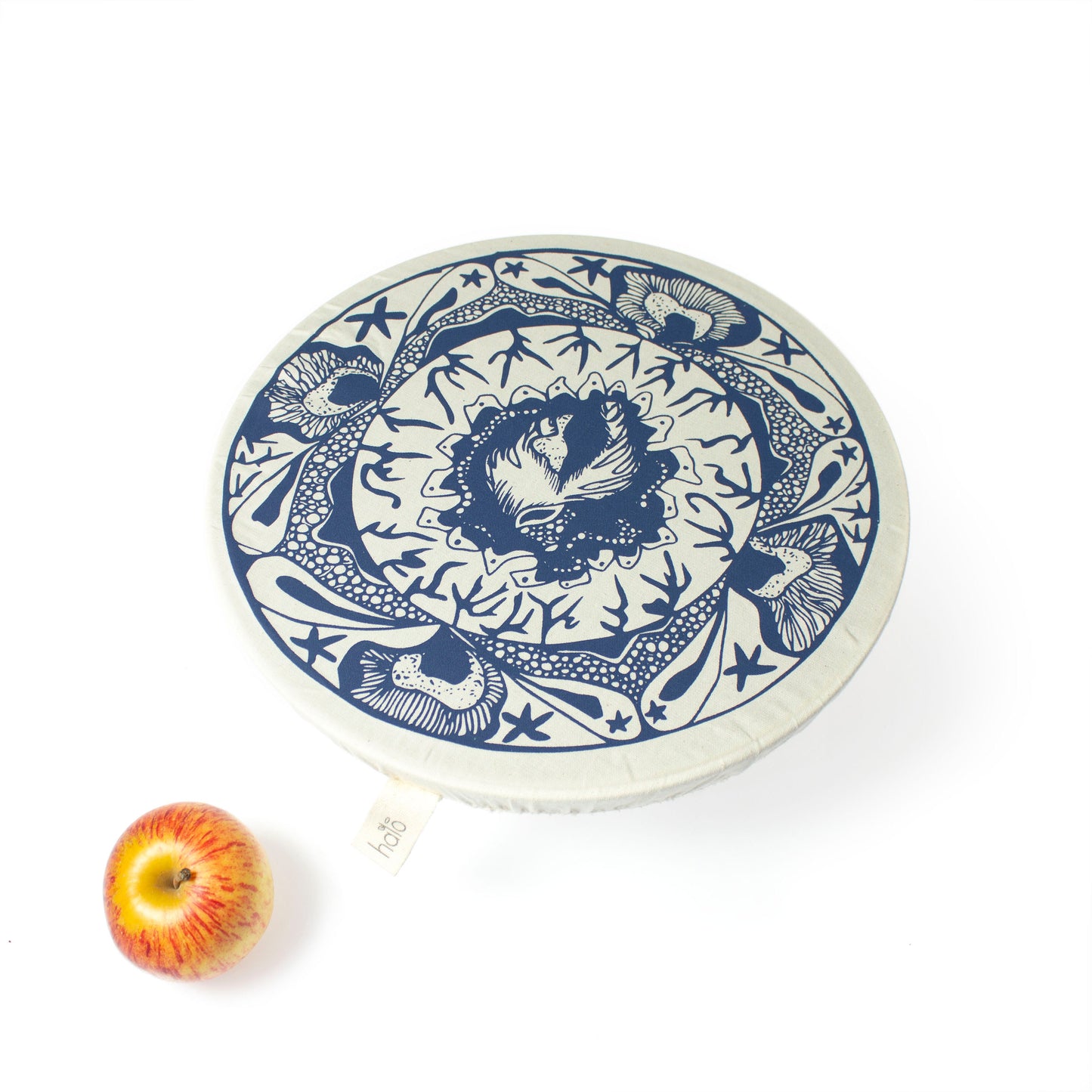 Halo Dish and Bowl Cover Large Set of 3 Starfish | Anushka Davids